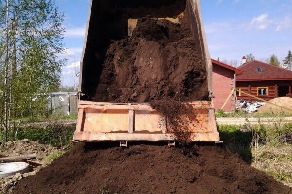 Как поставить соседей на место: 6 вещей, за которые они ответят