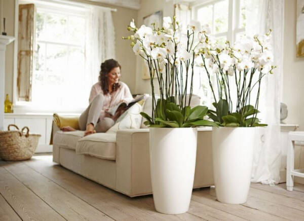 Искусственные цветы в интерьере дома &ndash; 6 советов по выбору и декору
