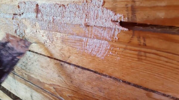 Что делать, когда скрипят полы в квартире &ndash; 10 проверенных методов