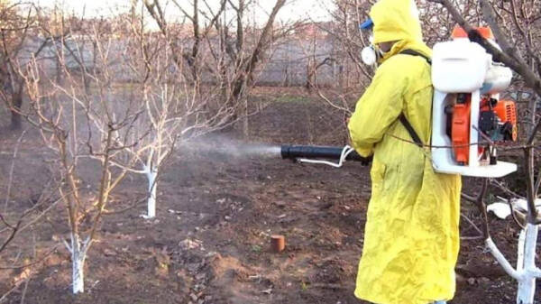 Весенняя обработка сада от болезней и вредителей: сроки и препараты