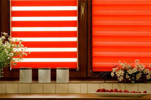 Рулонные шторы &laquo;день-ночь&raquo; на пластиковые окна: в интерьере, выбор конструкции, монтаж