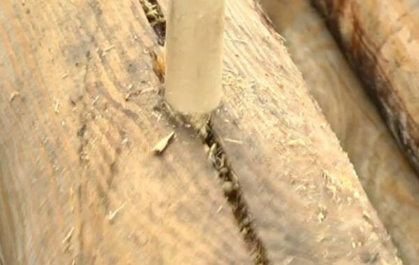 Сруб дома из бревна: пошаговый процесс рубки (с фото)