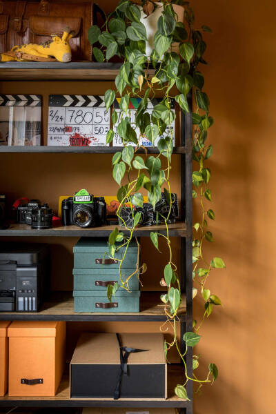 Цветные комнаты и старинные детали: смелый дизайн викторианского дома в Лондоне