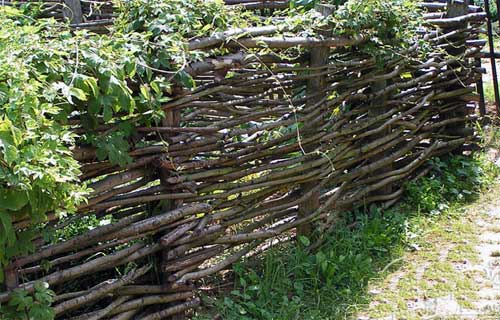 Заборы из лозы