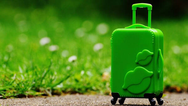 Чемодан на колесах поможет при переезде, а для туристов такая вещь абсолютно незаменима