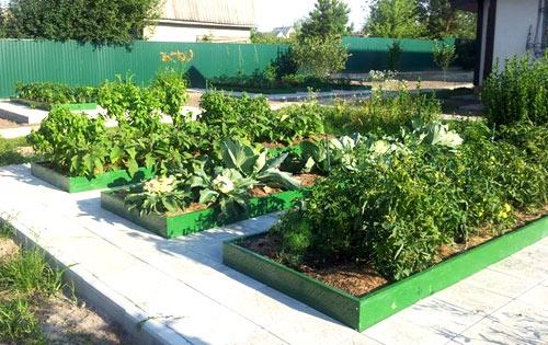 Пластиковые ограждения для грядок