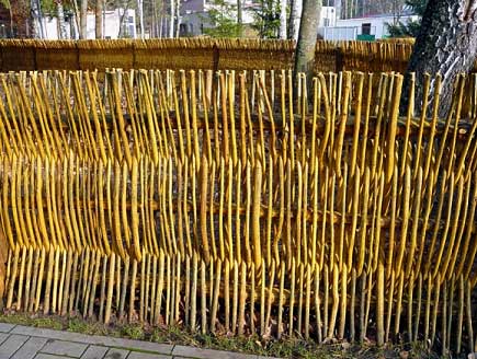 Заборы из лозы