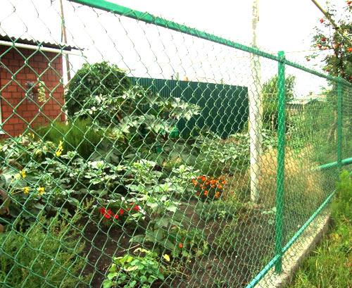 Выбор материала для забора на даче