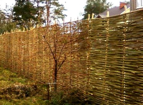 Заборы из лозы