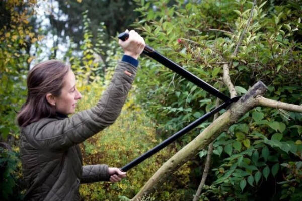 Лучшие сучкорезы, топ-25 рейтинг хороших сучкорезов