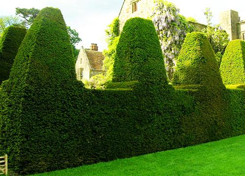 Из чего лучше сделать забор