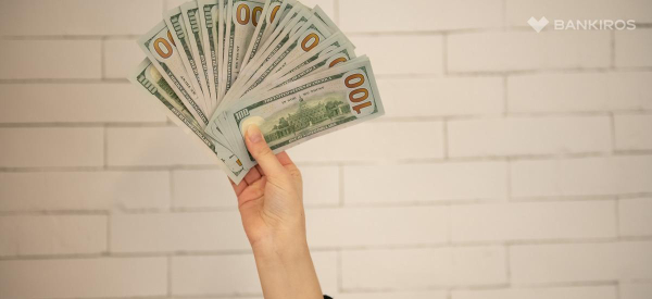 Цена &laquo;американца&raquo; взлетит: аналитик озвучил диапазон курса доллара на июль 2024