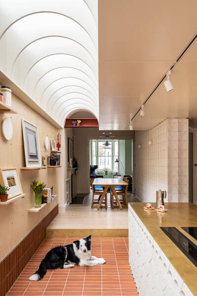 Смелые краски в интерьерах обновлённого викторианского дома в Лондоне