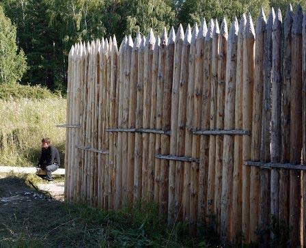Установка забора из березовых карандашей