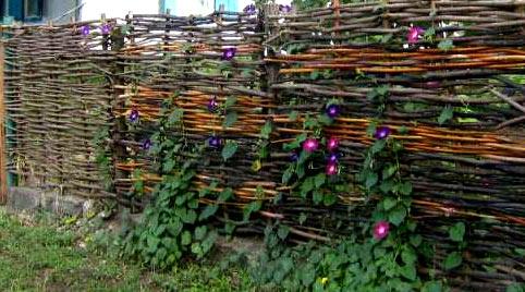 Возведение забора тын