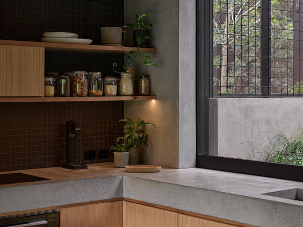 Человек и природа под одной крышей: дом в Брисбене