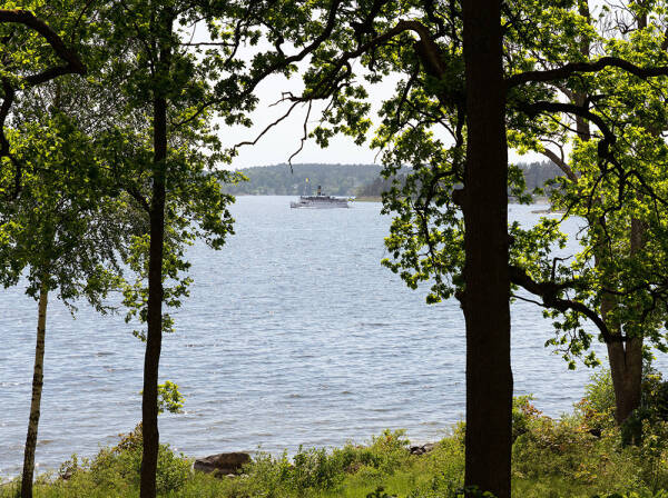 Оттенки синего и современное искусство: просторная квартира в Швеции с видом на озеро