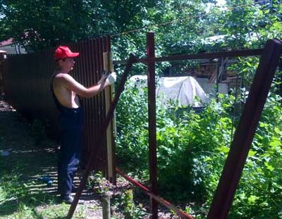 Заборы из евроштакетника