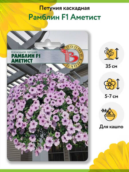 Петуния &laquo;Пикобелла&raquo; &mdash; описание и правила ухода для произрастания красивых и ярких цветов всё лето!