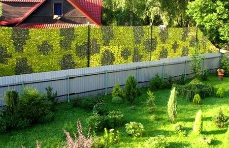 Глухие заборы между участками