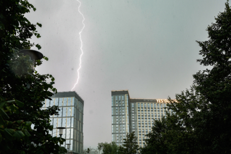 В Московской области молния ударила в людей