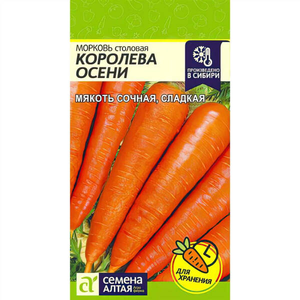 Морковь Королева осени &mdash; обзор сорта, описание и характеристики