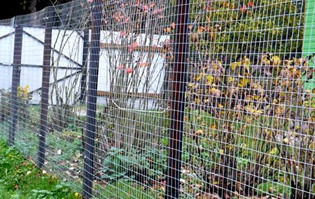 Оцинкованная сетка для заборов