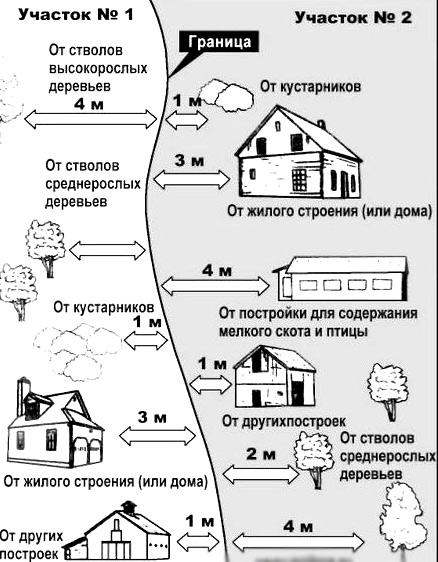 На каком расстоянии от забора сажают деревья