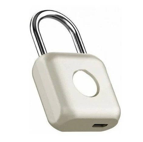 Рейтинг наиболее популярных и надежных навесных замков для защиты помещений на 2023 год