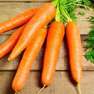 Морковь Королева осени &mdash; обзор сорта, описание и характеристики